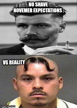 NO SHAVE NOVEMER
EXPECTATIONS :; VS REALITY | image tagged in november | made w/ Imgflip meme maker