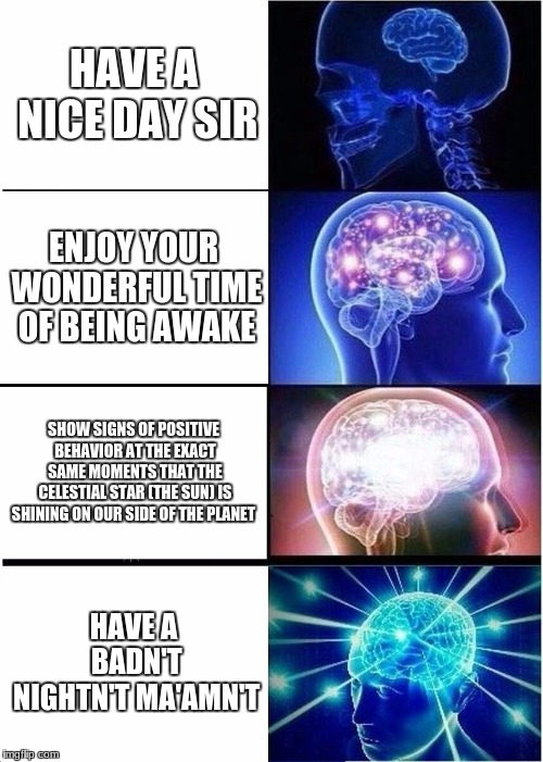 Expanding Brain | HAVE A NICE DAY SIR; ENJOY YOUR WONDERFUL TIME OF BEING AWAKE; SHOW SIGNS OF POSITIVE BEHAVIOR AT THE EXACT SAME MOMENTS THAT THE CELESTIAL STAR (THE SUN) IS SHINING ON OUR SIDE OF THE PLANET; HAVE A BADN'T NIGHTN'T MA'AMN'T | image tagged in memes,expanding brain | made w/ Imgflip meme maker