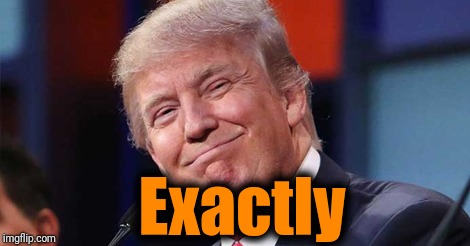 Trump smiling | Exactly | image tagged in trump smiling | made w/ Imgflip meme maker