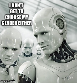 Robots Meme | I DON’T GET TO CHOOSE MY GENDER EITHER | image tagged in memes,robots | made w/ Imgflip meme maker