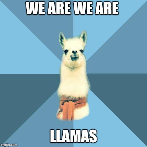 Linguistic Llama | WE ARE WE ARE; LLAMAS | image tagged in linguistic llama | made w/ Imgflip meme maker