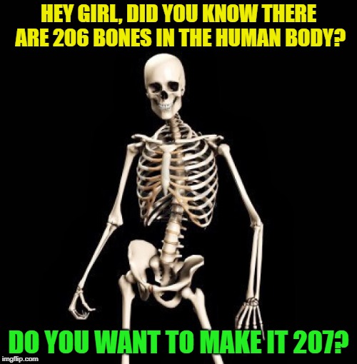 Skeleton Pick up Liner | HEY GIRL, DID YOU KNOW THERE ARE 206 BONES IN THE HUMAN BODY? DO YOU WANT TO MAKE IT 207? | image tagged in skeleton pick up liner,memes,funny,pick up lines | made w/ Imgflip meme maker