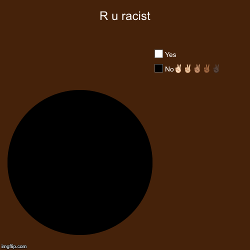 R u racist | No✌ | image tagged in funny,pie charts | made w/ Imgflip chart maker