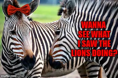 WANNA SEE WHAT I SAW THE LIONS DOING? | made w/ Imgflip meme maker