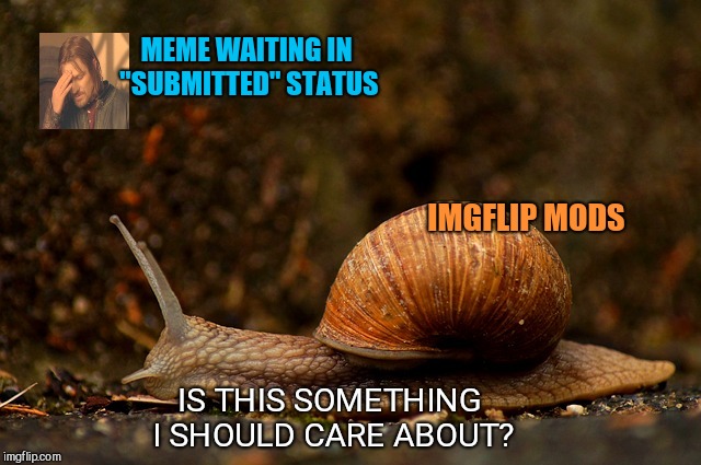 MEME WAITING IN "SUBMITTED" STATUS; IMGFLIP MODS; IS THIS SOMETHING I SHOULD CARE ABOUT? | image tagged in sloooow snail,imgflip,memes,moderators | made w/ Imgflip meme maker