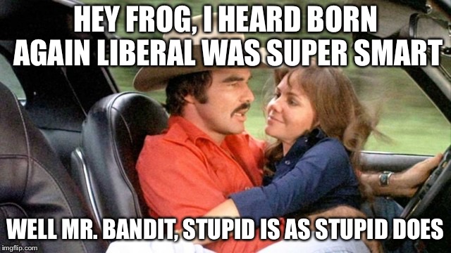 The bandit | HEY FROG, I HEARD BORN AGAIN LIBERAL WAS SUPER SMART; WELL MR. BANDIT, STUPID IS AS STUPID DOES | image tagged in the bandit | made w/ Imgflip meme maker