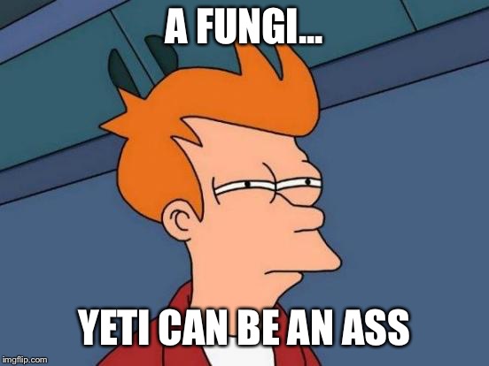 Futurama Fry Meme | A FUNGI... YETI CAN BE AN ASS | image tagged in memes,futurama fry | made w/ Imgflip meme maker