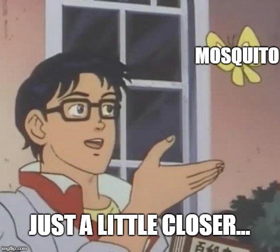 Mosquitos for me | MOSQUITO; JUST A LITTLE CLOSER... | image tagged in memes,is this a pigeon | made w/ Imgflip meme maker