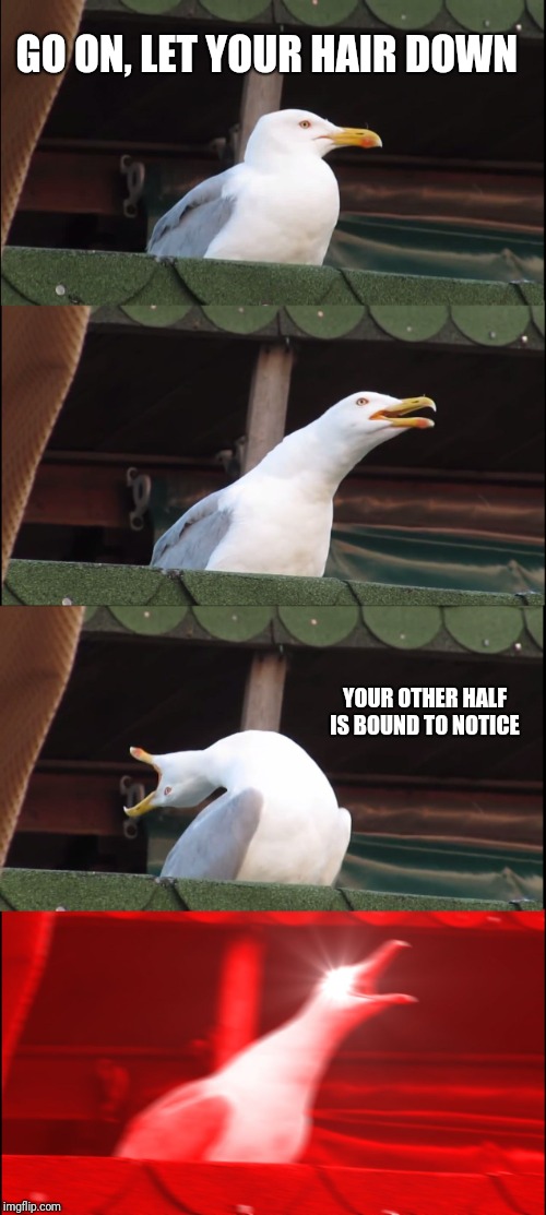 Inhaling Seagull Meme | GO ON, LET YOUR HAIR DOWN; YOUR OTHER HALF IS BOUND TO NOTICE | image tagged in memes,inhaling seagull | made w/ Imgflip meme maker