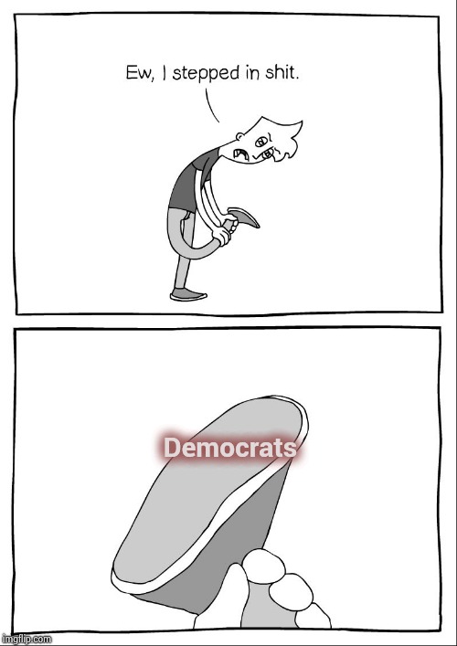 Ew, i stepped in shit | Democrats | image tagged in ew i stepped in shit | made w/ Imgflip meme maker