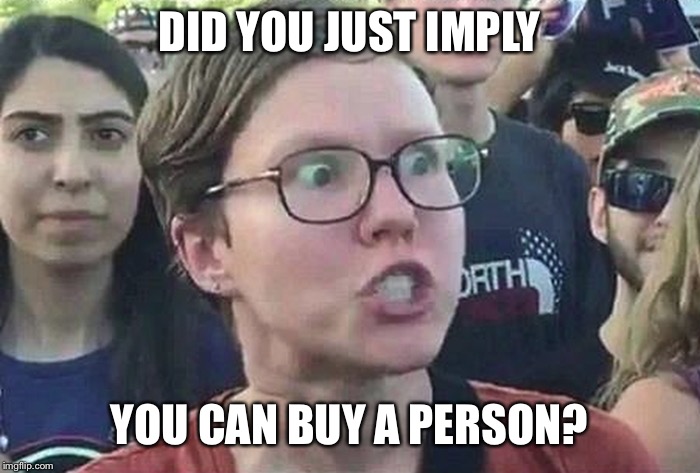 Triggered Liberal | DID YOU JUST IMPLY YOU CAN BUY A PERSON? | image tagged in triggered liberal | made w/ Imgflip meme maker