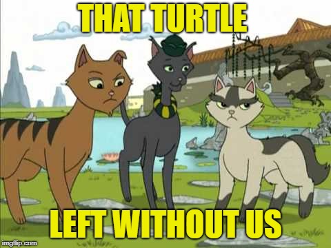 THAT TURTLE LEFT WITHOUT US | made w/ Imgflip meme maker