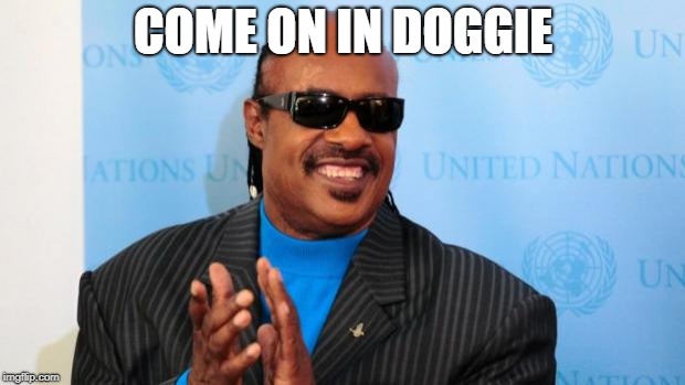 stevie wonder | COME ON IN DOGGIE | image tagged in stevie wonder | made w/ Imgflip meme maker