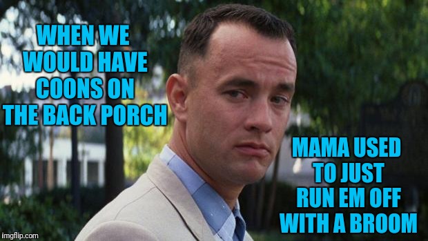 Forrest Gump | WHEN WE WOULD HAVE COONS ON THE BACK PORCH MAMA USED TO JUST RUN EM OFF WITH A BROOM | image tagged in forrest gump | made w/ Imgflip meme maker