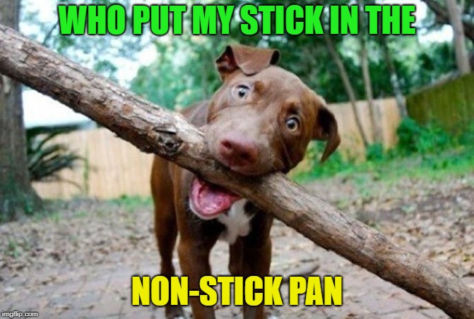 A sticky situation | WHO PUT MY STICK IN THE; NON-STICK PAN | image tagged in dog stick,memes,funny,front page | made w/ Imgflip meme maker