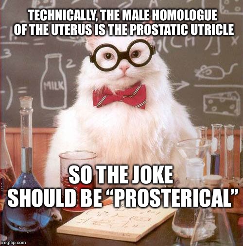 Science Cat | TECHNICALLY, THE MALE HOMOLOGUE OF THE UTERUS IS THE PROSTATIC UTRICLE SO THE JOKE SHOULD BE “PROSTERICAL” | image tagged in science cat | made w/ Imgflip meme maker