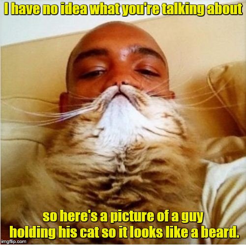 Cat beard | I have no idea what you're talking about; so here's a picture of a guy holding his cat so it looks like a beard. | image tagged in memes,funny cats,beards,cats | made w/ Imgflip meme maker