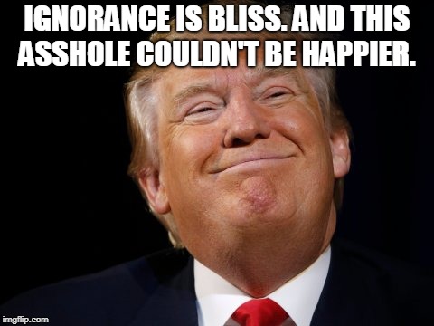 Trump smug | IGNORANCE IS BLISS. AND THIS ASSHOLE COULDN'T BE HAPPIER. | image tagged in trump smug | made w/ Imgflip meme maker