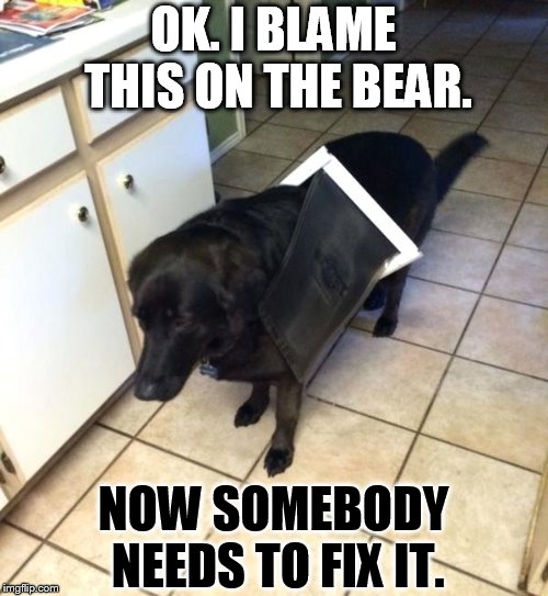 OK. I BLAME THIS ON THE BEAR. NOW SOMEBODY NEEDS TO FIX IT. | made w/ Imgflip meme maker