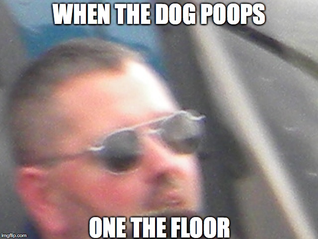 WHEN THE DOG POOPS; ONE THE FLOOR | image tagged in poop,dog,funny,thug life,police,floor | made w/ Imgflip meme maker