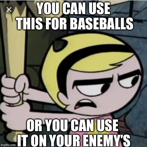 What A Baseball Bat Should Be Used For | YOU CAN USE THIS FOR BASEBALLS; OR YOU CAN USE IT ON YOUR ENEMY’S | image tagged in memes | made w/ Imgflip meme maker