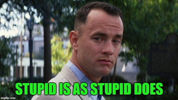 STUPID IS AS STUPID DOES | made w/ Imgflip meme maker