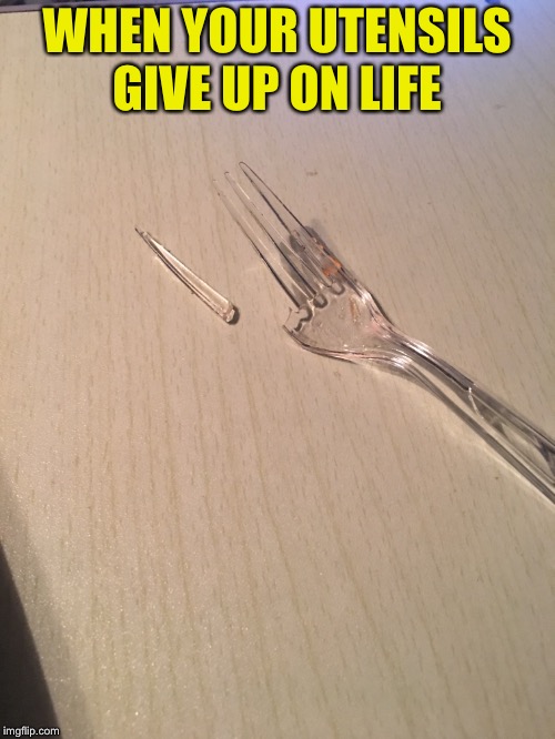 So many chromium fork memes - 9GAG