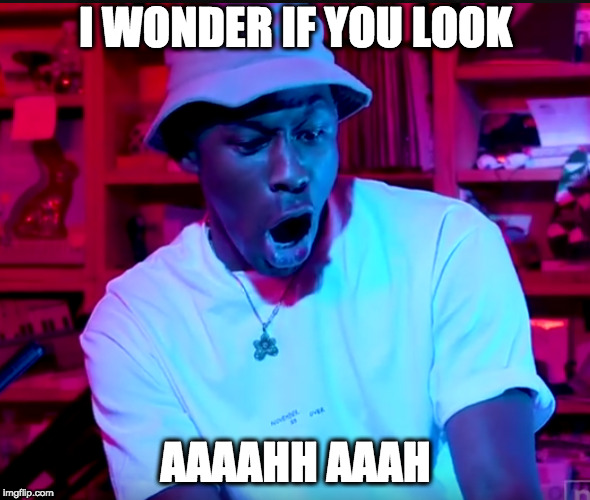 Tiny Desk Tyler | I WONDER IF YOU LOOK; AAAAHH AAAH | image tagged in odd future,tyler the creator,music | made w/ Imgflip meme maker
