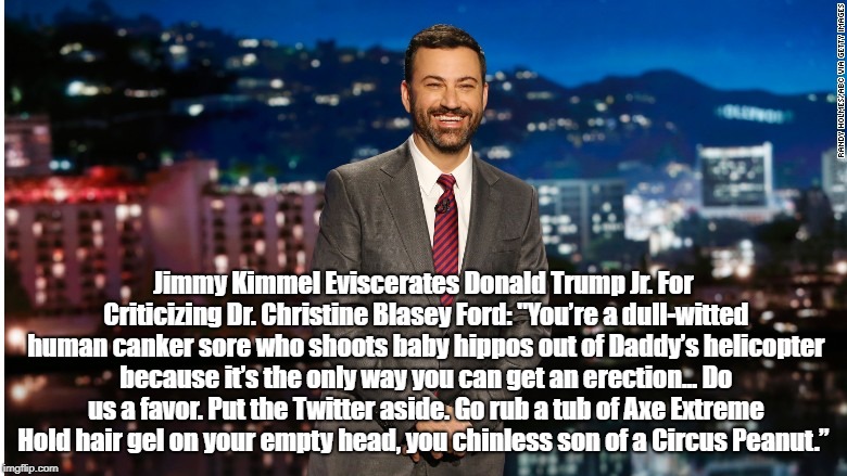 Jimmy Kimmel Eviscerates Donald Trump Jr. For Criticizing Dr. Christine Blasey Ford: "Youâ€™re a dull-witted human canker sore who shoots baby | made w/ Imgflip meme maker