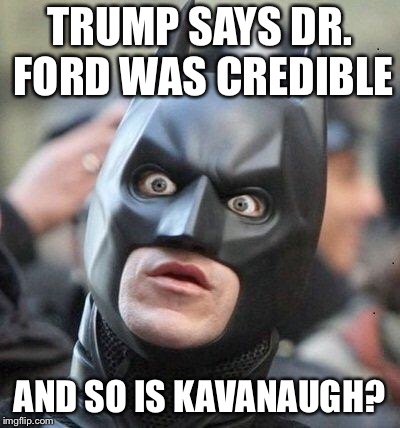 Shocked Batman | TRUMP SAYS DR. FORD WAS CREDIBLE AND SO IS KAVANAUGH? | image tagged in shocked batman | made w/ Imgflip meme maker