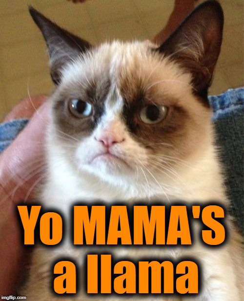Grumpy Cat Meme | Yo MAMA'S a llama | image tagged in memes,grumpy cat | made w/ Imgflip meme maker