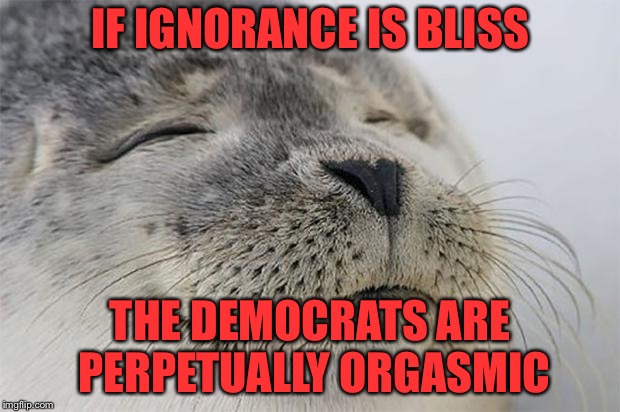 Bliss | IF IGNORANCE IS BLISS THE DEMOCRATS ARE PERPETUALLY ORGASMIC | image tagged in bliss | made w/ Imgflip meme maker