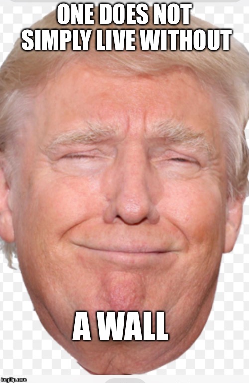 Orange | ONE DOES NOT SIMPLY LIVE WITHOUT; A WALL | image tagged in donald trump,trump wall | made w/ Imgflip meme maker