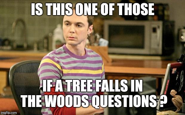 Sheldon Big Bang Theory  | IS THIS ONE OF THOSE IF A TREE FALLS IN THE WOODS QUESTIONS ? | image tagged in sheldon big bang theory | made w/ Imgflip meme maker