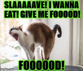 SLAAAAAVE! I WANNA EAT! GIVE ME FOOOOD! FOOOOOD! | image tagged in i wanna eat | made w/ Imgflip meme maker