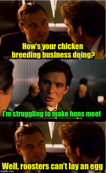 Don’t let this meme lay a goose egg | How’s your chicken breeding business doing? I’m struggling to make hens meet; Well, roosters can’t lay an egg | image tagged in memes,inception,pun,chicken | made w/ Imgflip meme maker