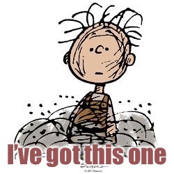 Pigpen | I’ve got this one | image tagged in pigpen | made w/ Imgflip meme maker