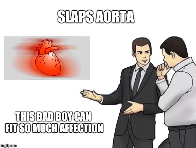 Car Salesman Slaps Hood | SLAPS AORTA; THIS BAD BOY CAN FIT SO MUCH AFFECTION | image tagged in memes,car salesman slaps hood | made w/ Imgflip meme maker