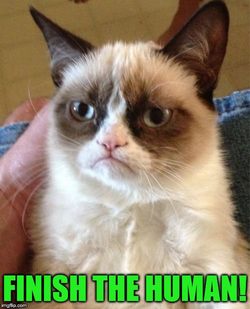 Grumpy Cat Meme | FINISH THE HUMAN! | image tagged in memes,grumpy cat | made w/ Imgflip meme maker