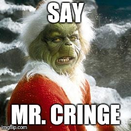 grinch | SAY; MR. CRINGE | image tagged in grinch | made w/ Imgflip meme maker