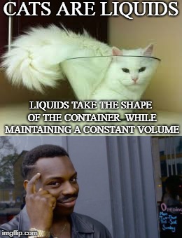 Makes sense to me | CATS ARE LIQUIDS; LIQUIDS TAKE THE SHAPE OF THE CONTAINER  WHILE MAINTAINING A CONSTANT VOLUME | image tagged in grumpy cat,cats | made w/ Imgflip meme maker