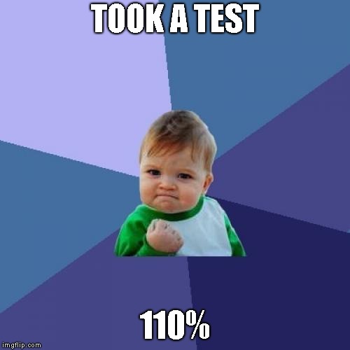 Success Kid Meme | TOOK A TEST; 110% | image tagged in memes,success kid | made w/ Imgflip meme maker