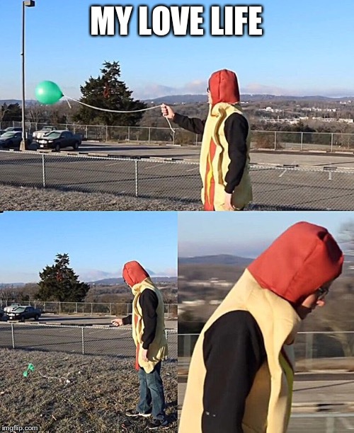 Sad Hotdog | MY LOVE LIFE | image tagged in sad hotdog | made w/ Imgflip meme maker