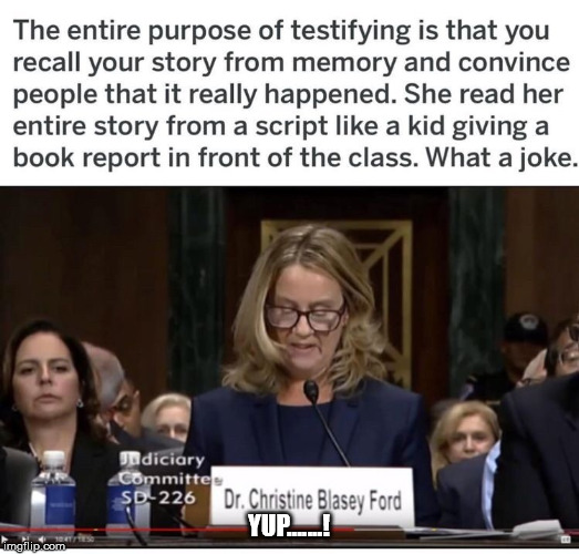 YUP.......! | image tagged in christine ford | made w/ Imgflip meme maker