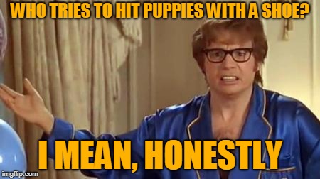 Austin Powers Honestly Meme | WHO TRIES TO HIT PUPPIES WITH A SHOE? I MEAN, HONESTLY | image tagged in memes,austin powers honestly | made w/ Imgflip meme maker