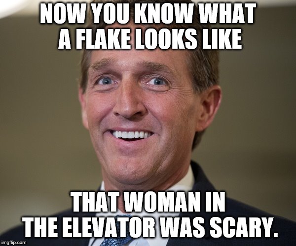 Jeff Flake | NOW YOU KNOW WHAT A FLAKE LOOKS LIKE; THAT WOMAN IN THE ELEVATOR WAS SCARY. | image tagged in jeff flake | made w/ Imgflip meme maker