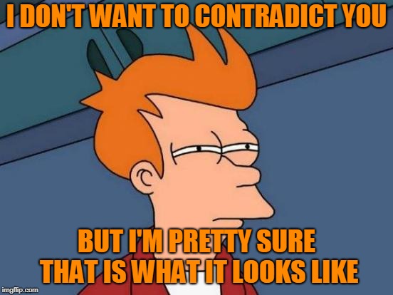 Futurama Fry Meme | I DON'T WANT TO CONTRADICT YOU BUT I'M PRETTY SURE THAT IS WHAT IT LOOKS LIKE | image tagged in memes,futurama fry | made w/ Imgflip meme maker