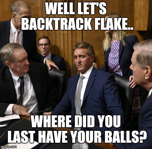 WELL LET'S BACKTRACK FLAKE.. WHERE DID YOU LAST HAVE YOUR BALLS? | image tagged in flake,fbi,kavanaugh | made w/ Imgflip meme maker