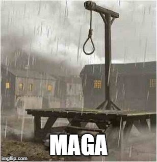 Gallows | MAGA | image tagged in gallows | made w/ Imgflip meme maker