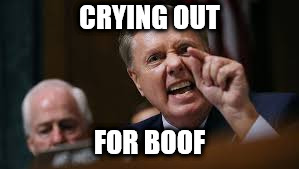 CRYING OUT; FOR BOOF | image tagged in lindsey needs a boof | made w/ Imgflip meme maker